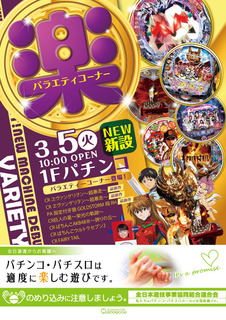 3/5新台